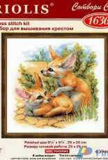 Riolis 1636 Desert Foxes