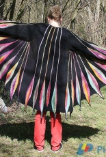 Spring Plumage Coat/Jacket by Heidrun Liegmann-English,German