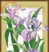 Wonderful Purple Irises / fioletovie irisi