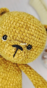 bear