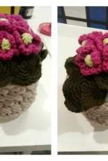 Beautiful flower