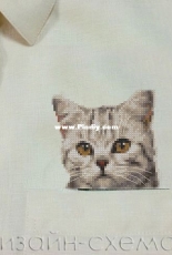 Design Schema  - Black and White Cat - Ginger Cat - Pensive Cat by Tomina Galina