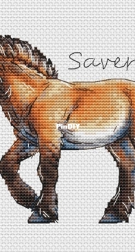 Horse by Victoria Kuznetsova Saverka/Savera