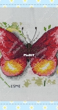 Mariposa