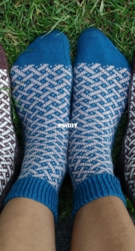 Jaegerzaunsocks by Catharina Duden - Ducathi - German