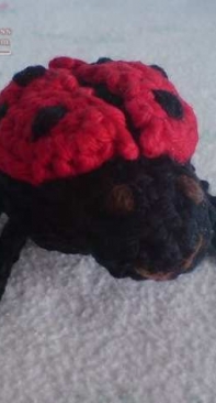Yulivee - Sonea Delvon -  Ladybug