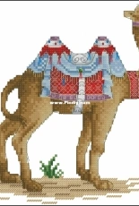 Camel by Alisa Okneas