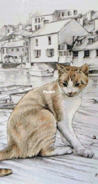 Happy Paws Haven - Cornish Cat by Silvia Harvey