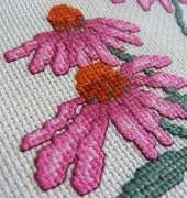 Keresztszemes Magazin - Echinacea purpurea
