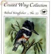Crossed Wing Collection No.52 - Belted Kingfisher