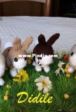 Family of little rabbits ...