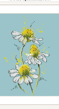 Three Daisies by Yuliya Do / Julia Dormidontova
