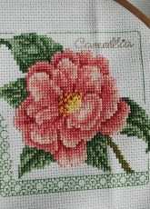 Floral elegance collection from serendipity design