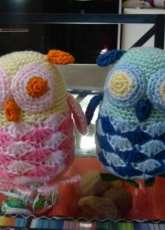 my owl sibling