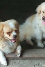 My babies