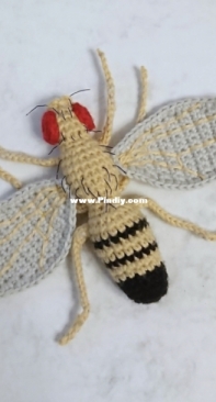 Murm Craft - Marita Isokallio - D. Melanogaster Fruit Fly - D. melanogaster-kortti - Finnish - Free