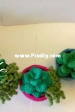 Cactus flower pots/dolls