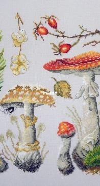 04.012.05 Fly Agarics Marya Iskusnitsa XSD