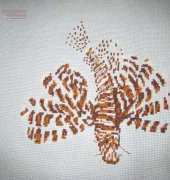 lion fish