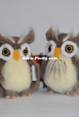 owl