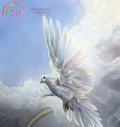 HAED HAEJG 1620 The Comforter by Jessica Galbreth XSD