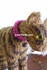 Tabby cat