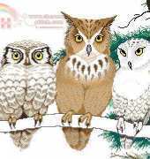 Couchman Creations CC035 - 3 Wise Owls