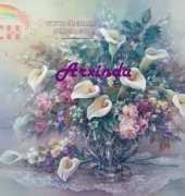 Arxinda Bouquet de calas
