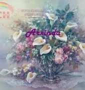 Arxinda Bouquet de calas