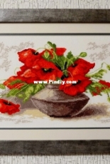 Poppy