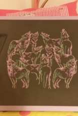 wolf