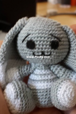 little grey bunny