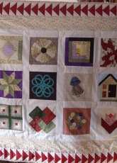 My first sampler quilt.