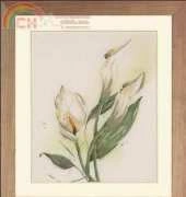 Lanarte 34788  PN-0008015 Calla XSD
