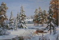 Winter Forest by Ivolga