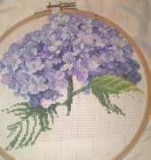 Hydrangea - Pillows from the garden