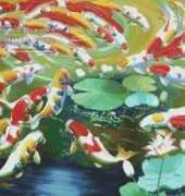 Cherish 66 fishes
