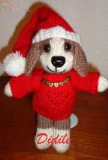 A little Christmas dog