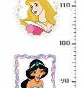 Disney Princesses Height Chart pat