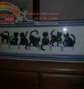 my cats