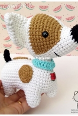 Daniel Jack Russel Terrier (PICA-PAU)