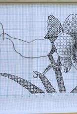 Amaryllis Blackwork - Ajisai Designs