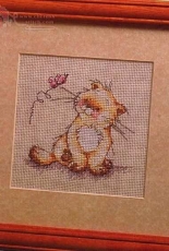 Solo The Cat - Butterfly Effect from magazine