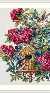 Merejka K-150 Rose Bush - Scanned