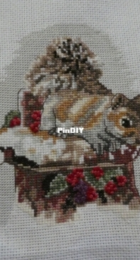 DMC The Countryside - Red Squirrel PCS