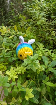 Rainbow bee