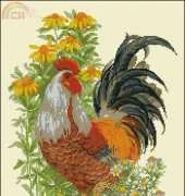Riolis 1479 Rooster