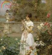 Golden Kite GK 1911 - The Rose of all Roses (small)
