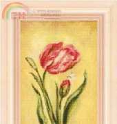 FIORI 43