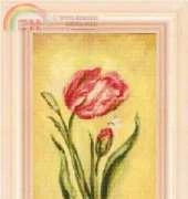 FIORI 43